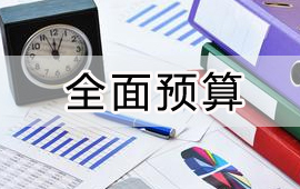 用友大型企业全面预算解决方案